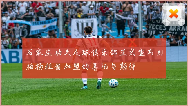 石家庄功夫足球俱乐部正式宣布刘柏杨租借加盟的喜讯与期待