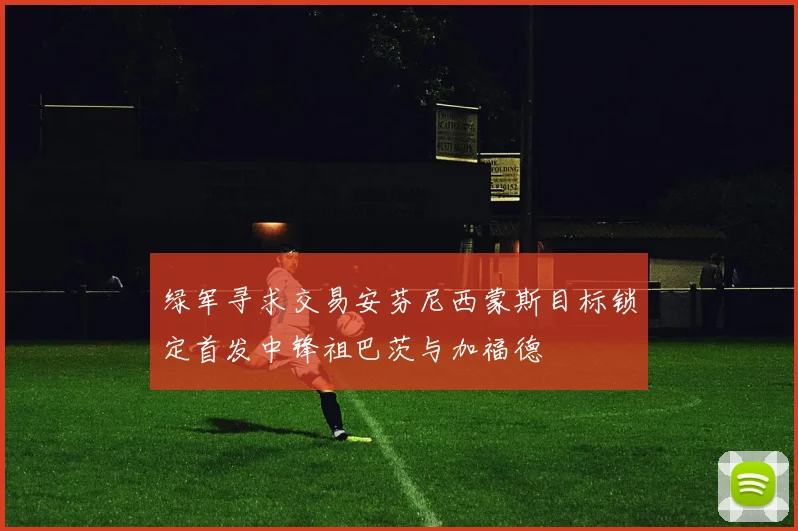 绿军寻求交易安芬尼西蒙斯目标锁定首发中锋祖巴茨与加福德
