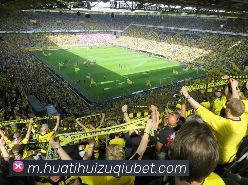 App Interface Preview